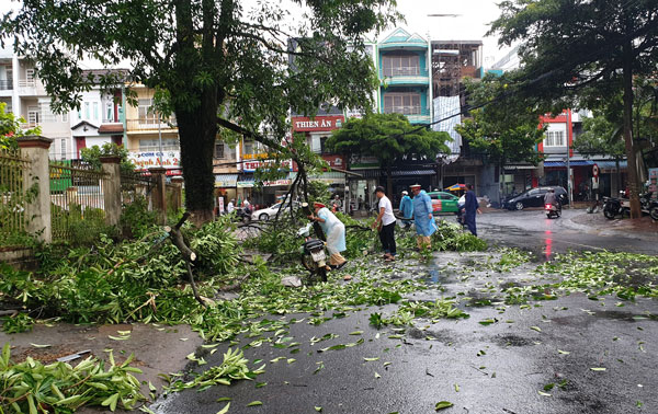 Cảnh sát giao thông Bảo Lộc hỗ trợ dọn dẹp cây bị gãy đố
