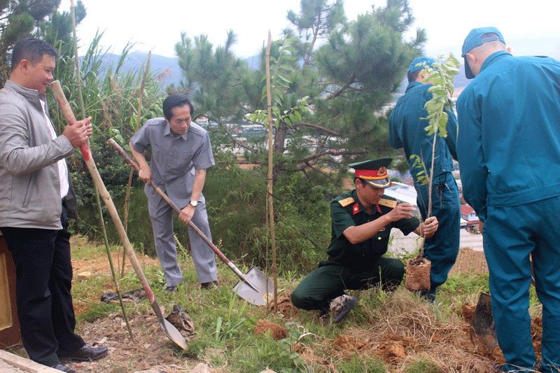 Trồng 500 cây hoa Mai Anh Đào tại chùa Thiên Phước, góp phần bảo vệ môi trường xanh - sạch - đẹp