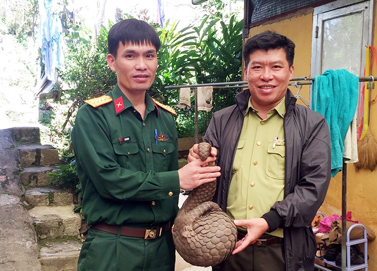 Cần biểu dương và học tập đại úy Lê Văn Định (Xí nghiệp Bản đồ Đà Lạt), bên trái, phát hiện cá thể Tê tê khoảng 6 kg tại vườn, tự nguyện nộp cho cơ quan kiểm lâm ngày 19/8. Ảnh: M.Đ