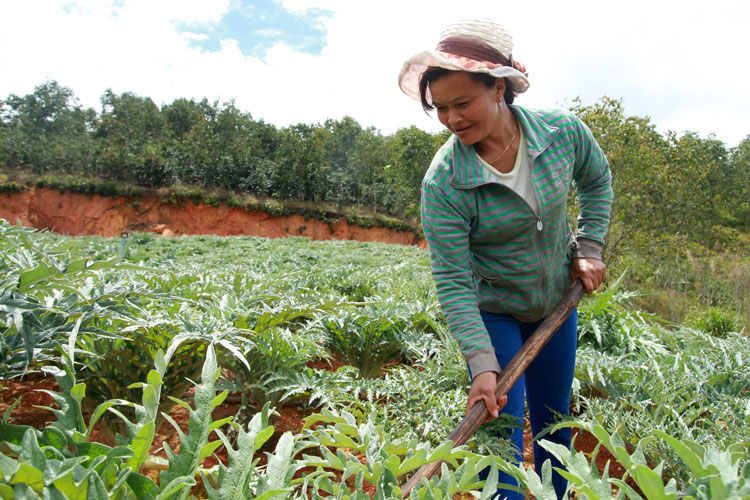 Lạc Dương: Hiệu quả 10 năm đào tạo nghề cho lao động nông thôn