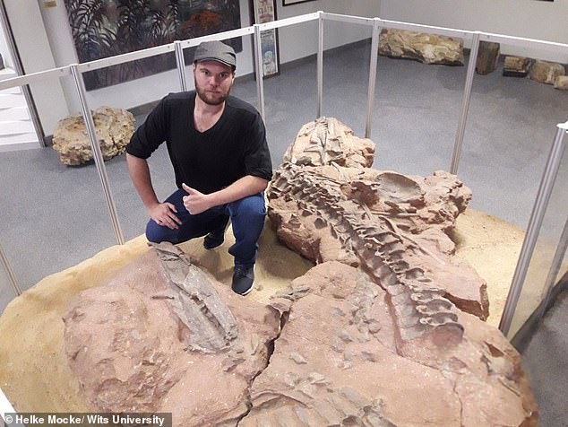 Hóa thạch cá sấu cổ xưa được tìm thấy ở Nam Phi