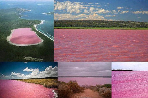Nước hồ Hillier có màu hồng như sữa lắc vị dâu tây.