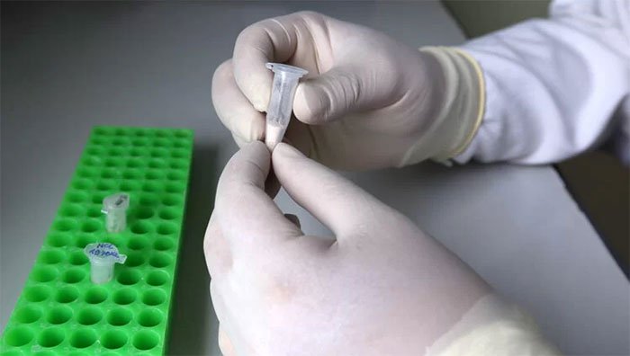 Xác định ADN tại Viện Nghiên cứu hệ gene