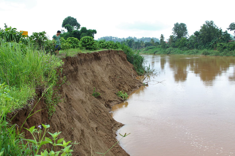 Khai thác cát trái phép trên sông Đồng Nai đang gây ra tình trạng sạt lở đất sản xuất nghiêm trọng dọc bờ sông Đồng Nai (đoạn qua huyện Cát Tiên)