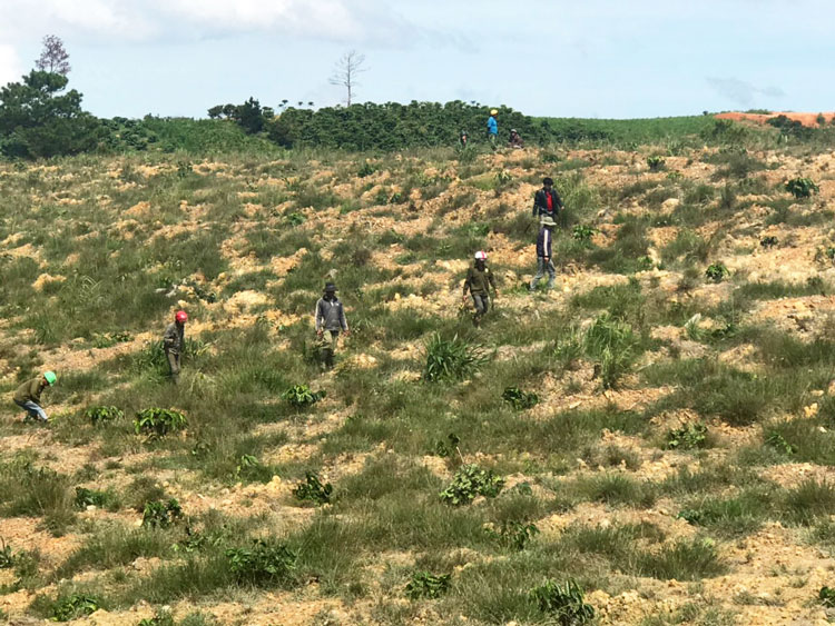 Lâm Hà: Giải tỏa hơn 6 ha đất lâm ngiệp bị lấn chiếm trái phép