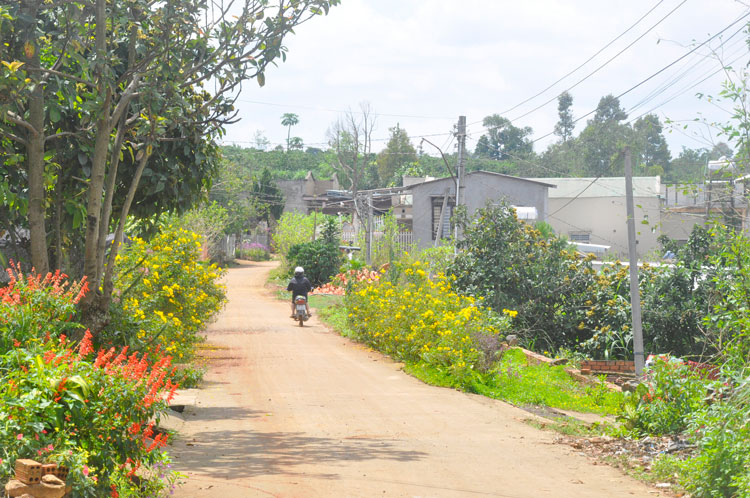 Đường làng, ngõ xóm ở Bình Thạnh ngày càng được người dân chăm chút bằng cây xanh và hoa.