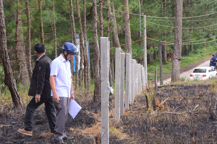 Đà Lạt: Giải tỏa "nóng" hàng rào phân lô đất nền trên đất rừng