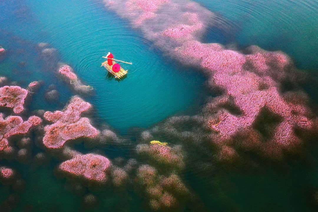 Khung cảnh lãng mạn ở hồ tảo hồng. Ảnh: Nghị Lê