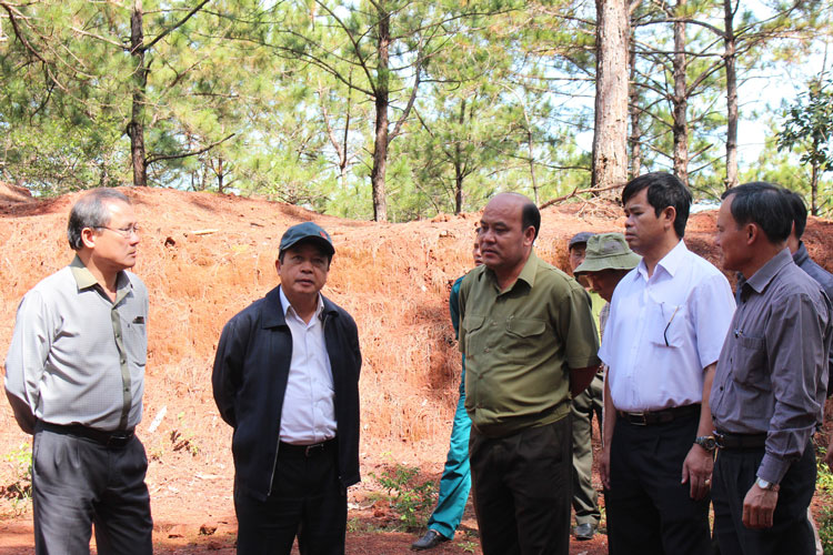 Di Linh thực hiện tốt công tác quản lý, bảo vệ rừng