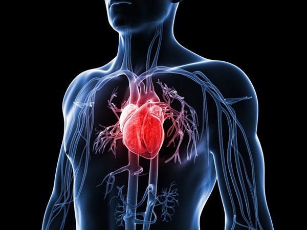 Điều trị sớm cholesterol cao giúp ngăn chặn nguy cơ bệnh tim, đột quỵ