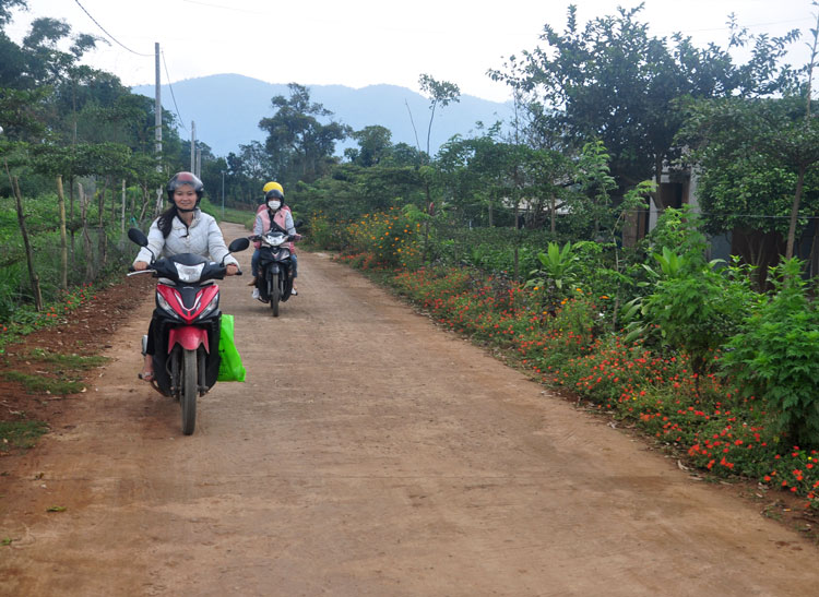 Một con đường giao thông nông thôn vùng đồng bào dân tộc thiểu số được trồng nhiều hoa ven đường tại xã Pró, Đơn Dương.