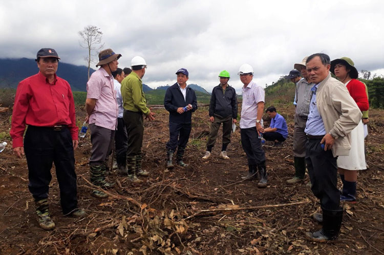 Vụ phá rừng nghiêm trọng tại lô a, Khoảnh 4, Tiểu khu 251, xã Đạ K’Nàng là đặc biệt nghiêm trọng, Chủ tịch UBND tỉnh Đoàn Văn Việt đã kiểm tra thực tế hiện trường. 