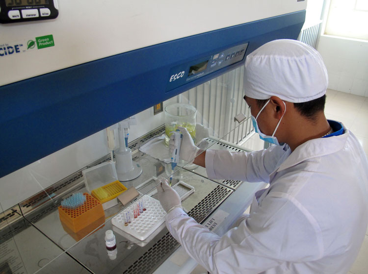 Kỹ thuật viên đang thực hiện các test tại Phòng xét nghiệm khẳng định HIV thuộc Trung tâm Kiểm soát bệnh tật Lâm Đồng. Ảnh: A.Nhiên