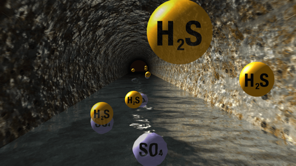Khí H2S thường có nhiều trong các hầm kín, bể chứa...