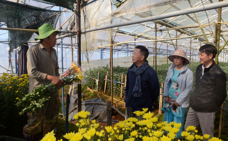 Nông dân Làng hoa Thái Phiên giới thiệu cho du khách về cách trồng, chăm sóc hoa