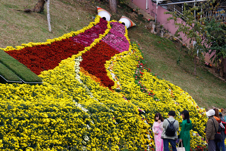 Du khách tham quan, chụp hình với hoa trong dịp Festival Hoa Đà Lạt lần thứ VIII