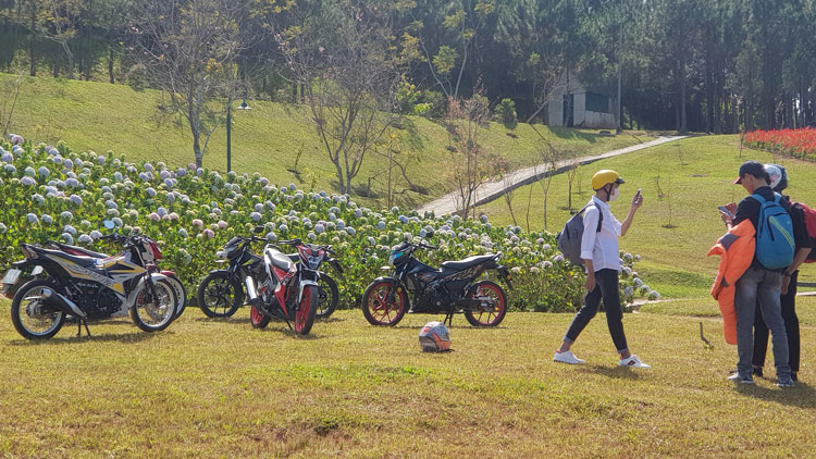 Tại công viên Trần Quốc Toản một nhóm bạn trẻ vô tư chạy xe lên thảm cỏ để vui chơi