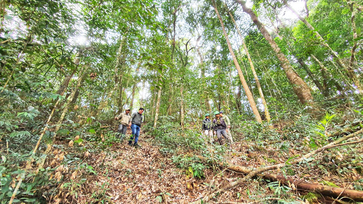 Nhân viên Trạm quản lý bảo vệ rừng Suối Cạn tuần tra bảo vệ rừng