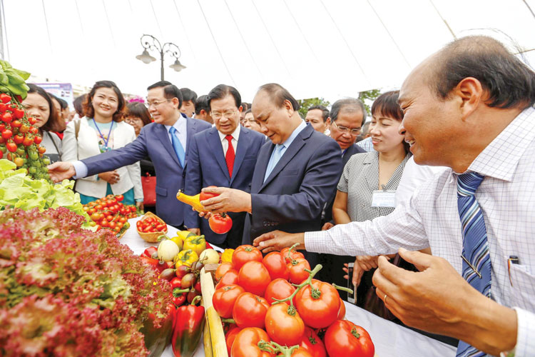 Thủ tướng Nguyễn Xuân Phúc thăm gian hàng trưng bày rau GlobalGAP của Đà Lạt GAP tại TP Đà Lạt