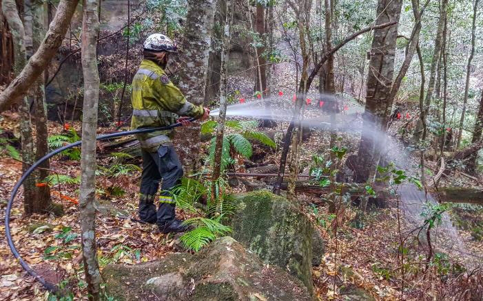 Lực lượng cứu hỏa phun nước làm ẩm các gốc cây