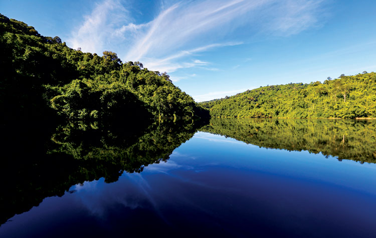 Hồ Đăk Lô trong xanh thuộc VQG Cát Tiên (bên phía huyện Cát Tiên, Lâm Đồng) là một hồ nước tuyệt đẹp. Rất nhiều du khách muốn đi qua hồ để tới những khu rừng gỗ quý cổ thụ.  Nếu đi băng rừng lồ ô khoảng 4 km, du khách có thể ngắm những rừng gỗ quý cổ thụ tuyệt đẹp trên đỉnh núi.