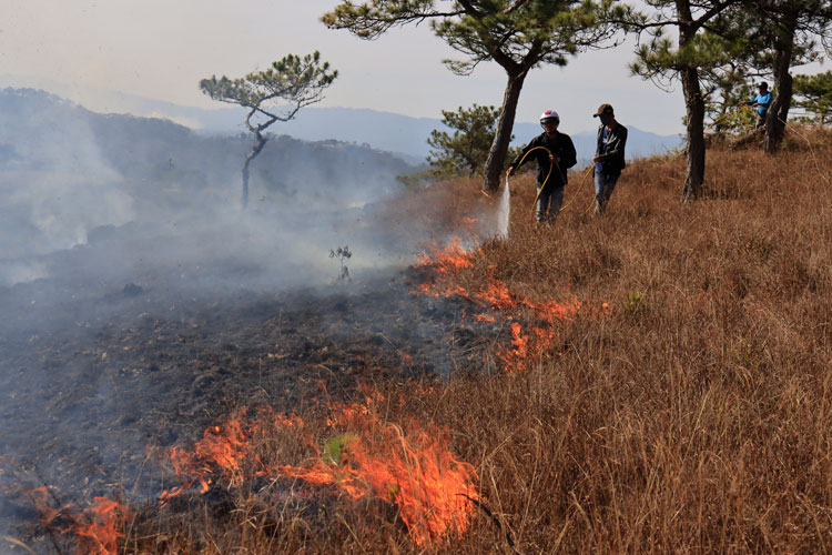Lực lượng chức năng dập lửa tại đồi Nguyễn Hoàng