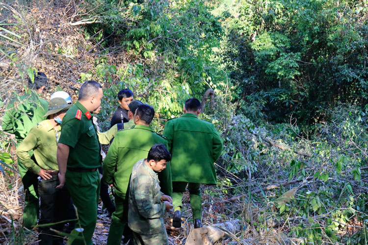 Công an di lí các đối tượng đến hiện trường để phục vụ công tác thực nghiệm điều tra vụ phá rừng