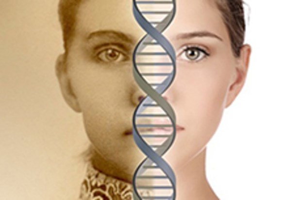 Phát hiện các mã gene mới ngăn chặn quá trình lão hóa