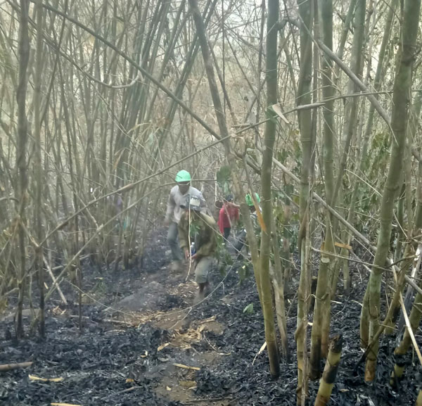 Các lực lượng tích cực tham gia dập tắt vụ cháy rừng tại lô b, khoảnh 4, Tiểu khu 201, xã Liêng Srônh, huyện Đam Rông.