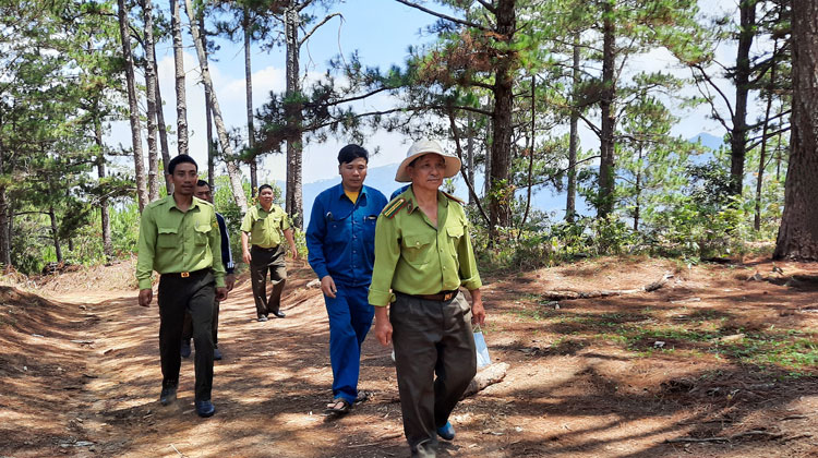Kiểm lâm Di Linh và đơn vị chủ rừng phối hợp tuần tra, kiểm tra rừng (ảnh chụp ngày 20/4/2020)