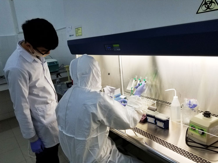 Các kỹ thuật viên xét nghiệm của CDC Lâm Đồng đang tập huấn kỹ thuật tách chiết mẫu xét nghiệm SARS-CoV-2 trong tủ an toàn sinh học cấp 2. Ảnh tư liệu/ Diệu Hiền