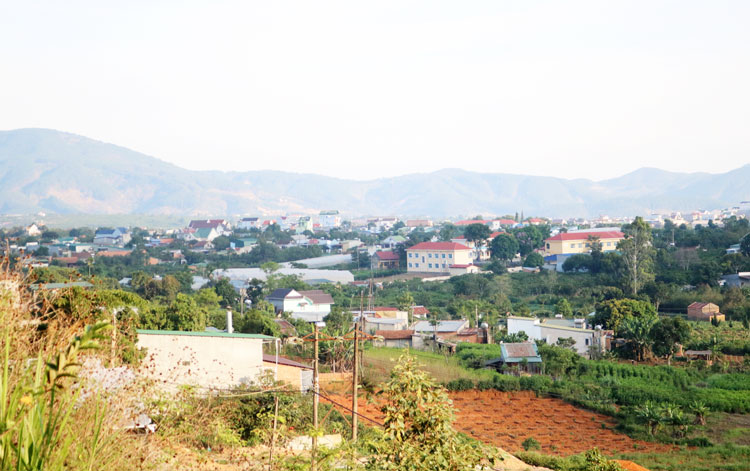 Một góc Nam Ban, vùng kinh tế phát triển của huyện Lâm Hà.