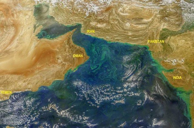 Tảo độc (màu xanh lục) phát triển mạnh trên biển Arab nhìn từ không gian.
