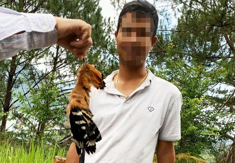 Phạt hành chính 10 triệu đồng người bắn chim đầu rìu tại hồ Tuyền Lâm