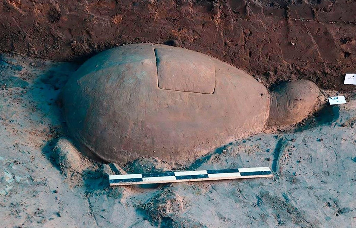 Rùa đá có kích thước 56x93 cm được cho là có từ thế kỷ thứ 10