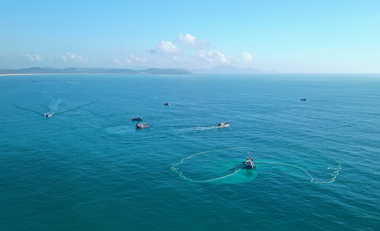Ngư trường An Hải sát bãi biển Hòn Yến cũng là nơi tập trung đông tàu thuyền đánh bắt cá cơm ngần