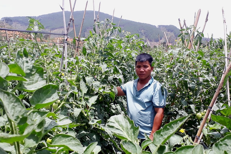 Tổ hợp tác “Trồng trọt, chăn nuôi Tuổi trẻ” xã Đông Thanh đã tạo điều kiện để ĐVTN phát triển kinh tế vươn lên làm giàu