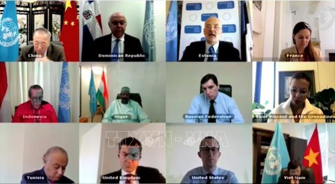 Các đại biểu tham dự phiên họp trực tuyến mở về tình hình Iraq ngày12/5/2020