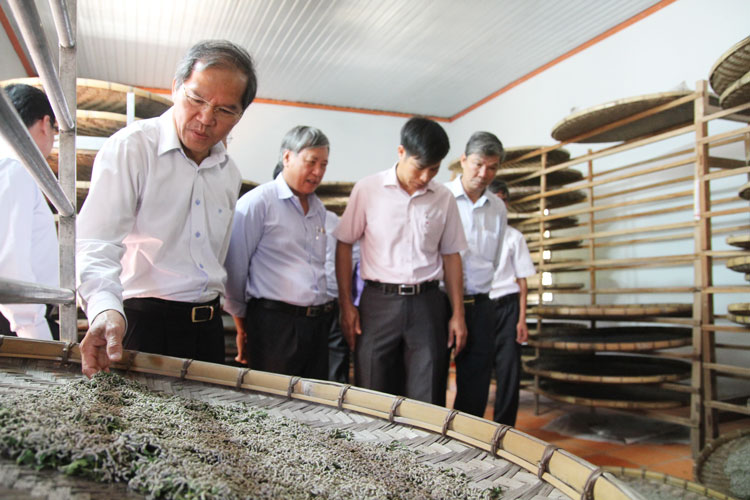 Đồng chí Nguyễn Xuân Tiến - Ủy viên Trung ương Đảng, Bí thư Tỉnh ủy thăm mô hình nuôi tằm con tập trung tại xã Đạ Pal (huyện Đạ Tẻh)