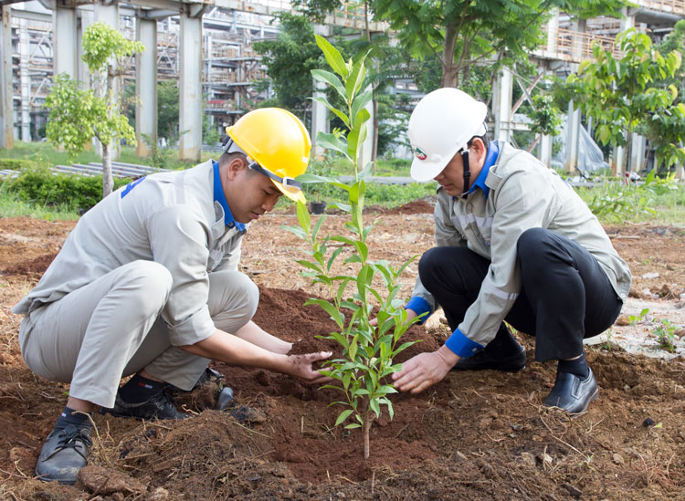 Công ty Nhôm Lâm Đồng - TKV ra quân trồng cây &quot;Đời đời nhớ ơn Bác Hồ&quot; chào mừng kỷ niệm 10 năm Ngày thành lập Công ty