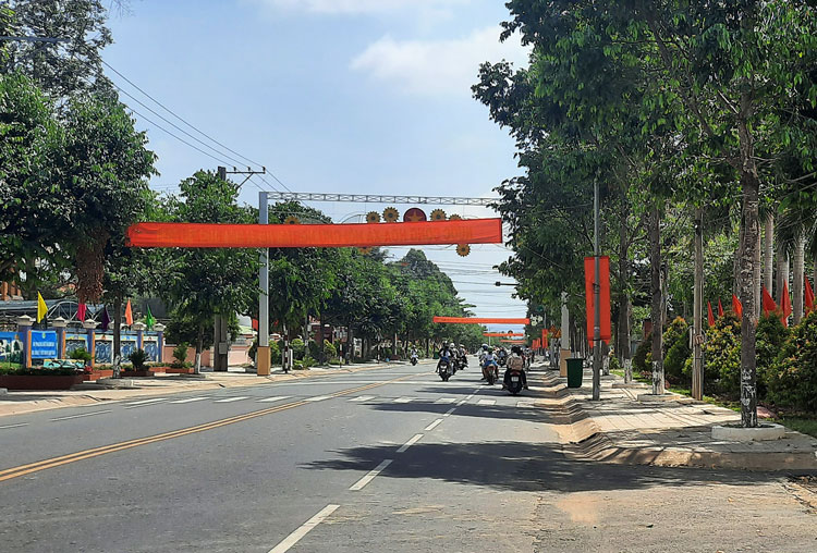 Cây phân tán trên tuyến đường Phạm Văn Đồng   