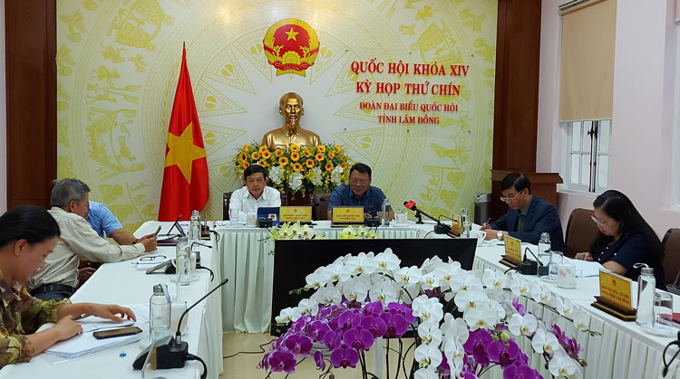 Các đại biểu tham dự Kỳ họp thứ 9, Quốc hội khóa XIV tại đầu cầu Lâm Đồng