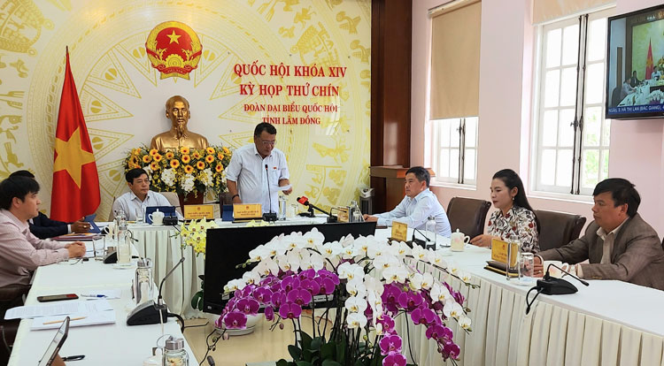 Các đại biểu tham dự Kỳ họp thứ 9, Quốc hội khóa XIV tại điểm cầu Lâm Đồng 