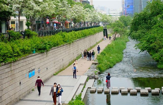  Người dân di chuyển trên đường phố tại Seoul, Hàn Quốc ngày 10/5/2020