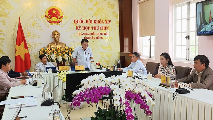 Hoạt động của Đoàn ĐBQH Lâm Đồng tại kỳ họp thứ 9, Quốc hội khóa XIV