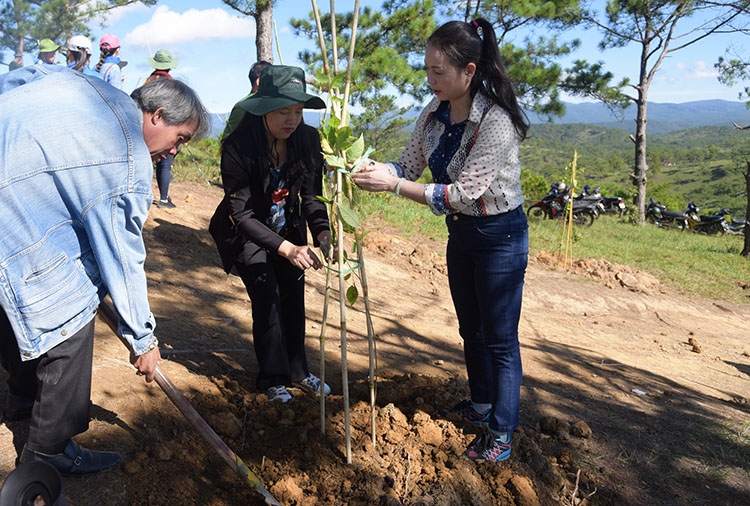 Phát động trồng cây phân tán chào mừng Đại hội Đảng bộ thành phố Đà Lạt lần thứ XII