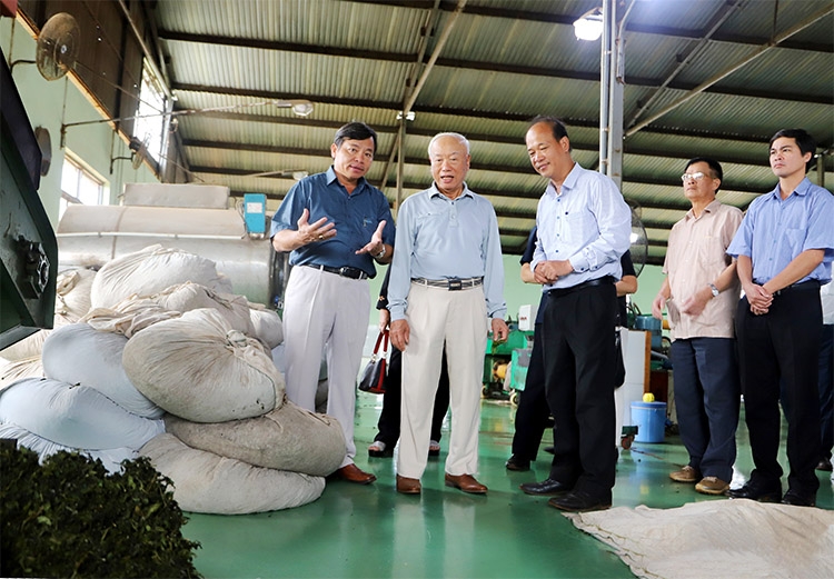 Đồng chí Nguyễn Văn An và Đoàn công tác đến thăm nhà máy chế biến trà Olong Tâm Châu