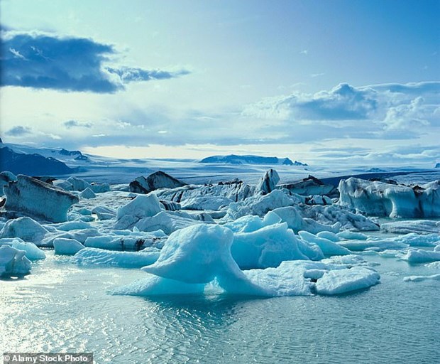 Động vật có vỏ ở Bắc Băng Dương có thể sẽ tuyệt chủng trong 80 năm tới