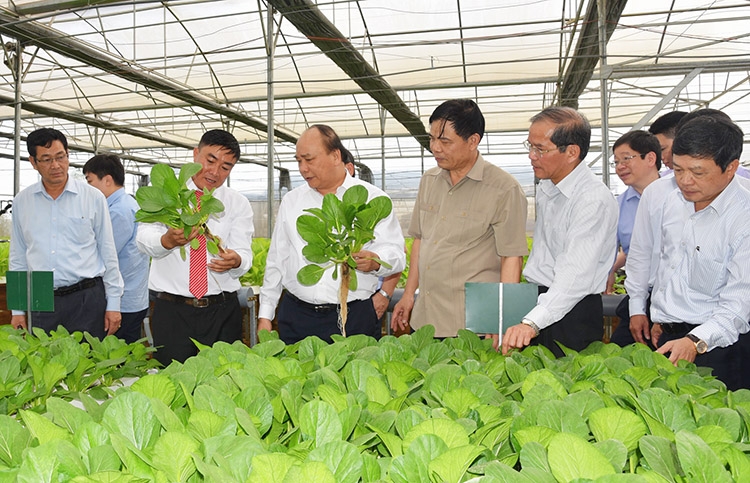 Thủ tướng Chính phủ Nguyễn Xuân Phúc và lãnh đạo tỉnh Lâm Đồng thăm Trang trại Phong Thúy tại huyện Đức Trọng. Ảnh: Văn Báu