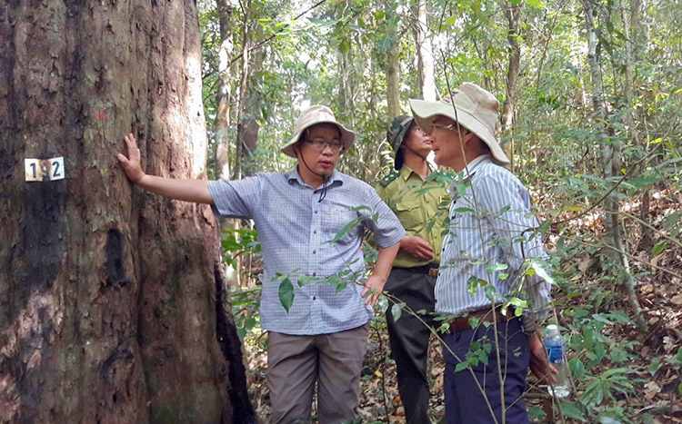Bí thư Huyện ủy Đức Trọng Nguyễn Ngọc Phúc - cán bộ luân chuyển từ tỉnh về huyện đi kiểm tra công tác quản lý, bảo vệ rừng ở các khu vực điểm nóng